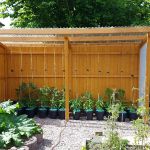 Tomatenüberdachung, Überdachung Gemüse-Garten mit Lichtplatten